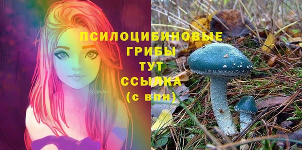 эйфоретик Абдулино