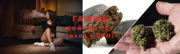 стаф Абинск