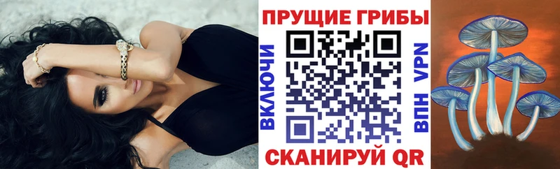 Галлюциногенные грибы MAGIC MUSHROOMS  Златоуст 